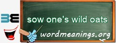 WordMeaning blackboard for sow one's wild oats